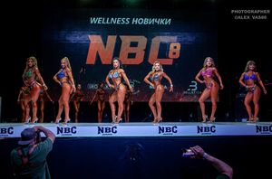 WELLNESS НОВИЧКИ